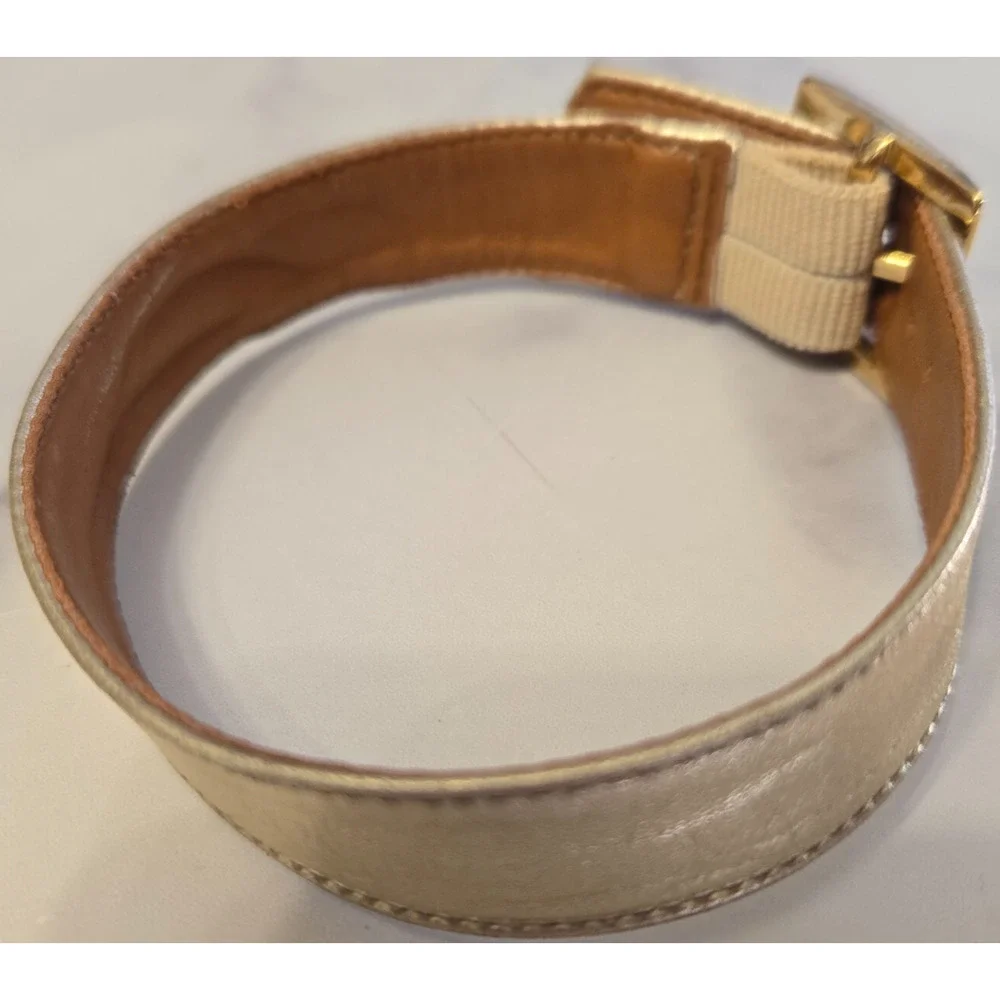 Puppy Dog Collar Gold Metallic Vegan Leather 11.5